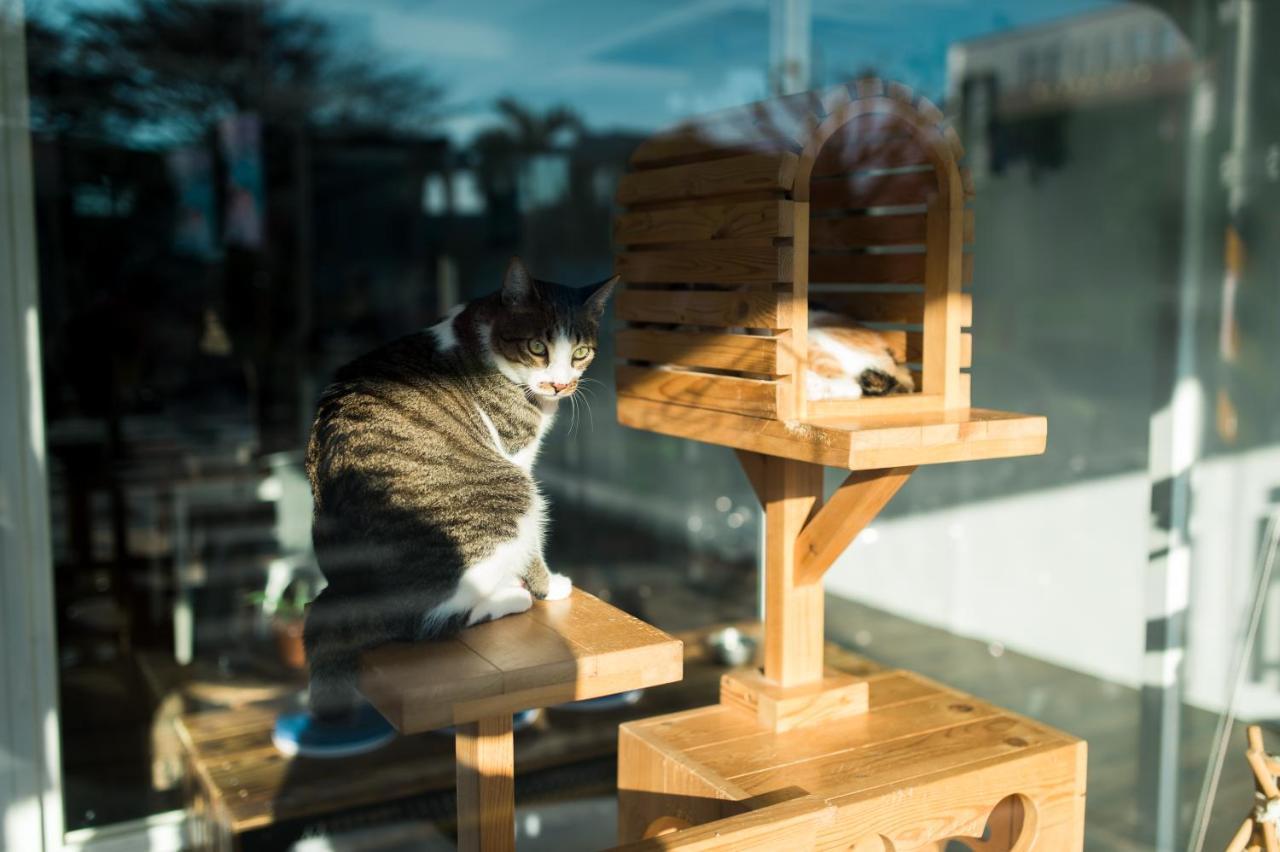 Hello Make Yourself At Home 墾丁 エクステリア 写真