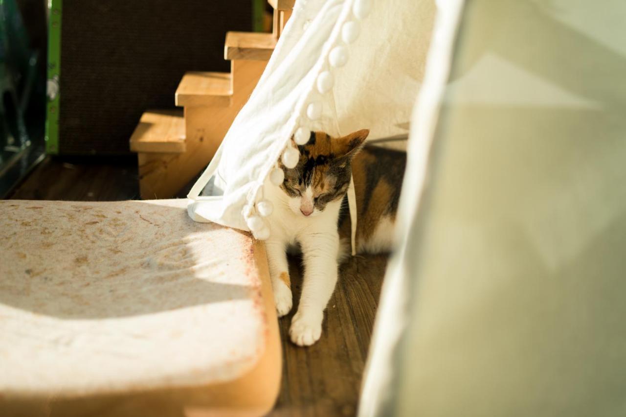 Hello Make Yourself At Home 墾丁 エクステリア 写真