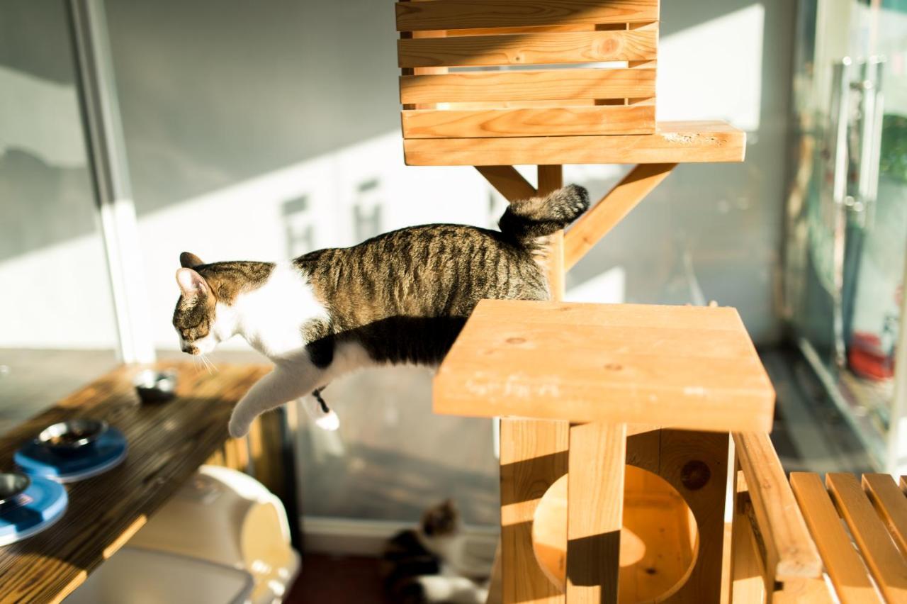 Hello Make Yourself At Home 墾丁 エクステリア 写真