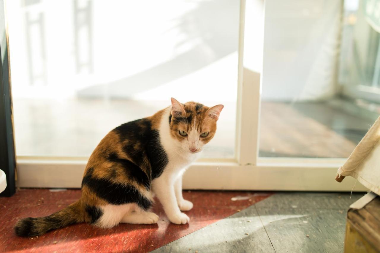 Hello Make Yourself At Home 墾丁 エクステリア 写真