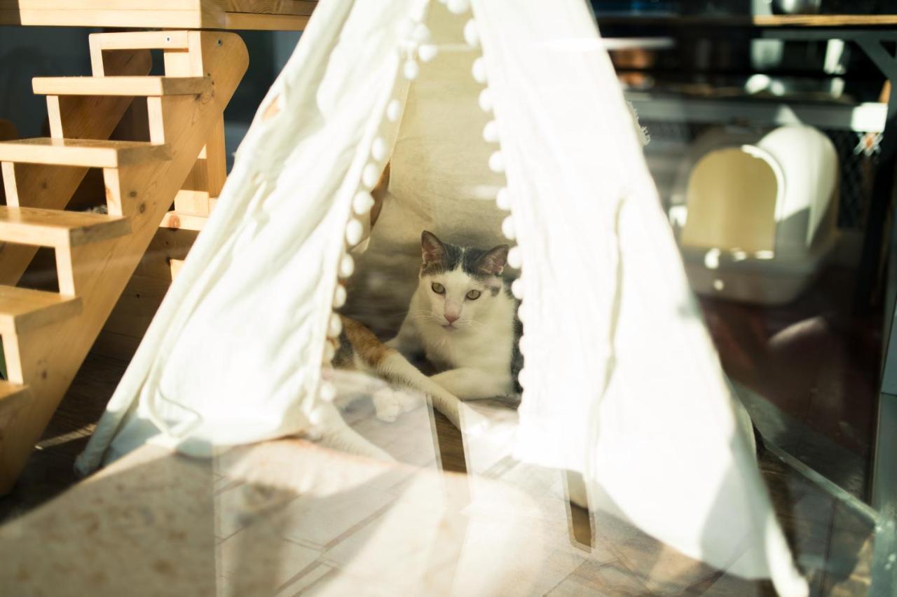 Hello Make Yourself At Home 墾丁 エクステリア 写真