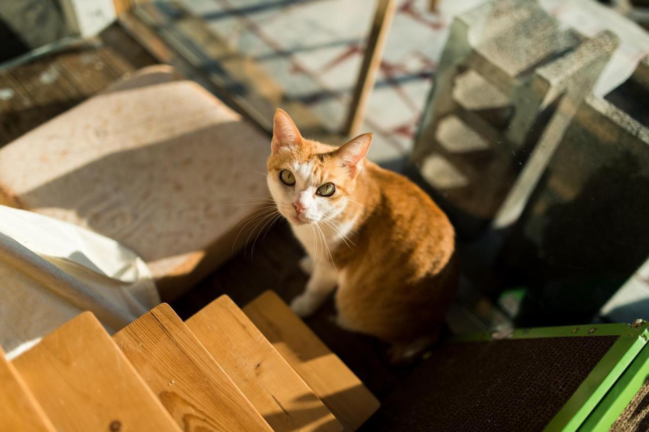 Hello Make Yourself At Home 墾丁 エクステリア 写真